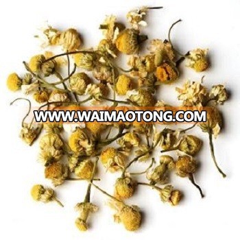 Chamomile (Matricaria chamomilla)