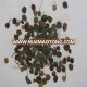 Makoy (Solanum nigrum) - Whole plant, Seed, Powder